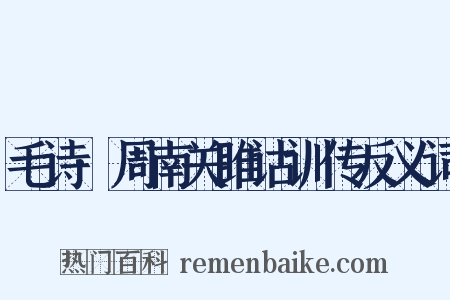 毛诗·周南关雎诂训传反义词是什么意思的图片